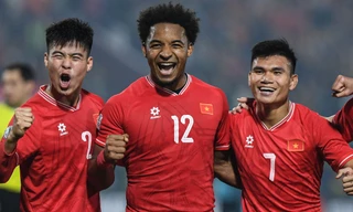 Đội tuyển Việt Nam bất ngờ có thêm kỷ lục sau chức vô địch ASEAN Cup 2024