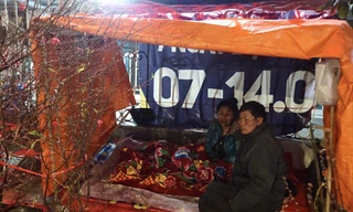 Thao thức cùng đào trên hè phố 