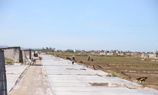 Diêm dân xã Quỳnh Thuận, huyện Quỳnh Lưu, Nghệ An tranh thủ trời nắng để sản xuất muối