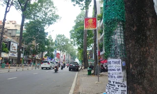 Việc quấn cỏ nhân tạo vẫn không thể ngăn chặn triệt để hành vi dán quảng cáo rao vặt ảnh: Hữu Huy 