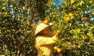 Liên kết để hết nghèo 