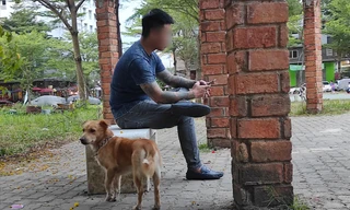 Chó thả rông, không rọ mõm, không đi cùng chủ ở khuôn viên chung cư Ehome3 (TPHCM) Ảnh: H.H