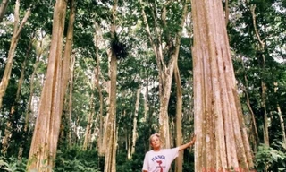 Cụ Vi Chính Nghĩa - cố Bí thư Huyện ủy Tương Dương, người tiên phong trong công cuộc bảo vệ, giữ gìn cánh rừng săng lẻ