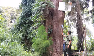Vào vương quốc thủy tùng 