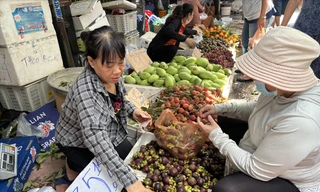 Măng cụt, vải, chôm chôm đầu mùa đã rớt giá bán tại chợ dân sinh ảnh: U.P