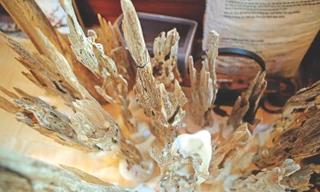 Những sản phẩm trầm được chế tác từ dó trầm có giá trị cao 