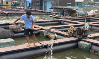 Ông Trần Văn Nhân vớt rác trong ô lồng nuôi cá mới đóng bằng nhựa HDPE Ảnh: Nguyễn Hoàn 