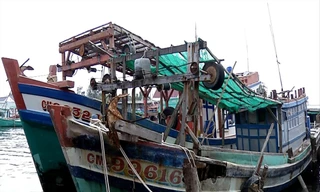 Một vụ đâm va gây hư hỏng tàu cá trên vùng biển Tây (tỉnh Cà Mau)