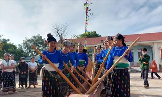 Phụ nữ dân tộc Thái tham gia khua luống 