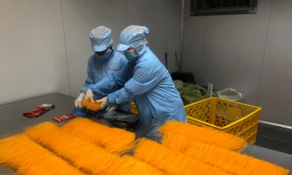 Công ty Duy Anh mua giải cứu dưa hấu sản xuất "bún dưa hấu"