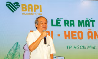 10 năm thăng trầm của 'bầu' Đức 