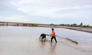 Đây là lần thứ 3 ông Lâm Văn Lập và các thành viên của HTX Diêm nghiệp Huy Điền cải tạo lại ruộng muối sau mỗi trận mưa