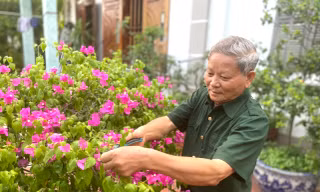 Thú vui lúc rảnh rỗi của ông Xuyến là chăm sóc, cắt tỉa cây cảnh