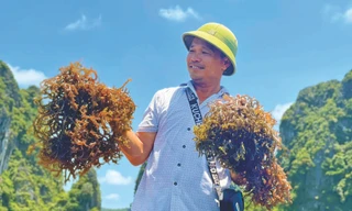 “Vua rong” Nguyễn Sỹ Bính cùng thành phẩm của mình Ảnh: Hoàng Dương