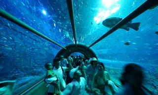 Du khách đông nghịt ở Phú Quốc dịp cuối tuần Ảnh: PHẠM NGUYỄN 