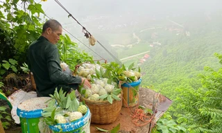 Vào thủ phủ na xứ Lạng 