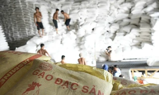 Việt Nam có nhiều giống lúa chất lượng cao nên gạo xuất khẩu có lợi thế về giá Ảnh: Như Ý 