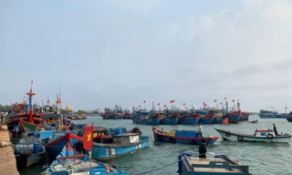 Giá dầu tăng cao, ngư dân nằm bờ 