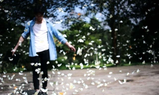 Mùa bướm ở Cúc Phương