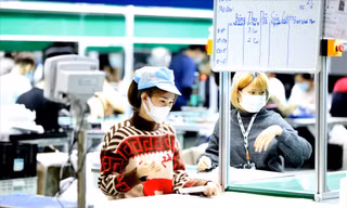Việt Nam có lợi thế về lực lượng lao động trẻ trong phát triển kinh tế ảnh: Như Ý 