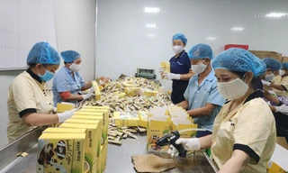 Cà phê chuẩn bị xuất khẩu đầu năm ảnh: U.P 