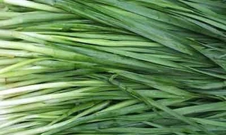 Hẹ giúp hồi xuân