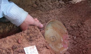 Chiếc đĩa cổ còn nguyên vẹn. Ảnh: Võ Thạnh.