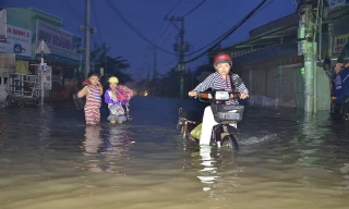 Triều cường chạm đỉnh, người Sài Gòn “bơi” đi làm, đi học