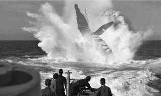 Sóng âm hé lộ xác tàu ngầm nghi bị thủy quái đánh chìm