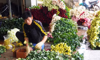 Hối hả đóng gói hoa hồng cho dịp lễ.