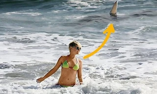 Một con cá mập hổ nguy hiểm bơi sau lưng Simone Gutsche mà cô không hề hay biết.