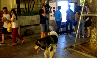 Cô gái sợ hãi khi đi qua một con chó dữ không rọ mõm ở phố đi bộ hồ Gươm.