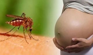 TPHCM: 9 trường hợp thai phụ nhiễm Zika