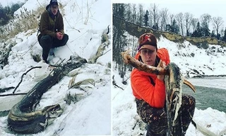 Xác con trăn được hai ngư dân phát hiện bên bờ sông Ohio. Ảnh: Instagram.