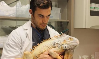 Chàng bác sĩ thú y hấp dẫn nhất thế giới