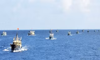 Đội tàu cá Trung Quốc trên Biển Đông