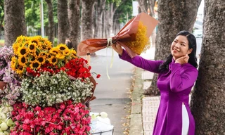 Hoa mùa thu Hà Nội đẹp nao lòng tại TP.HCM