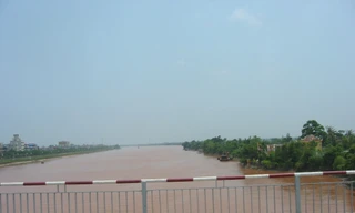 Bản tin 8H: Kế toán Sở Tài nguyên và Môi trường Nam Định tử vong trên sông Đào