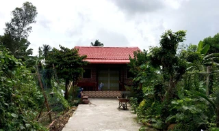 Bản tin 8H: Vợ chủ tịch huyện mua hàng trăm m2 đất chỉ với 10 triệu đồng?