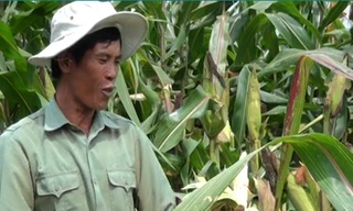 Thuyết phục đến đâu?