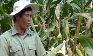 Thuyết phục đến đâu?
