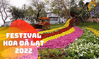 Đắm mình trong Festival hoa Đà Lạt: Nhiều hoạt động thú vị, "ngã đâu cũng có ảnh đẹp"!