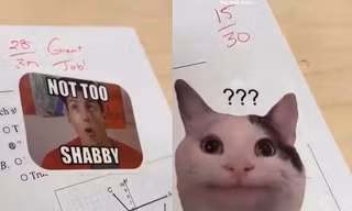 Thầy giáo thả nhẹ tấm meme vào bài kiểm tra khiến học trò cười muốn xỉu: "Ủa, alo thầy?!"