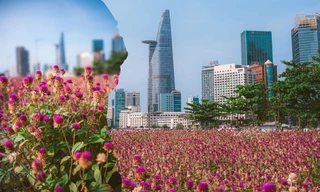 Giới trẻ TP.HCM rộn ràng rủ nhau "check-in" cánh đồng hoa tím mộng mơ