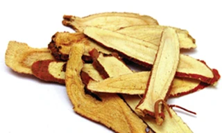 Những loài cây chữa được ung thư