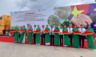 Xuất khẩu lô hàng trái cây sang châu Âu theo hiệp định EVFTA ​