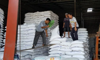 Philippines loại bỏ kế hoạch nhập khẩu 300.000 tấn gạo