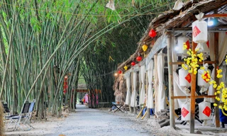 Khám phá vườn tre 'độc nhất vô nhị' ở miền Tây