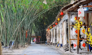 Khám phá vườn tre 'độc nhất vô nhị' ở miền Tây