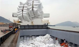 Xuất khẩu lô hàng gạo thơm đầu tiên sang châu Âu theo hiệp định EVFTA